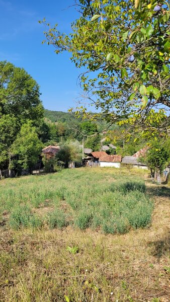 Valcea intravilan 1.900 mp cu casa si utilitati, 2 deschideri